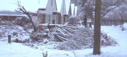 Picture taken on November 26